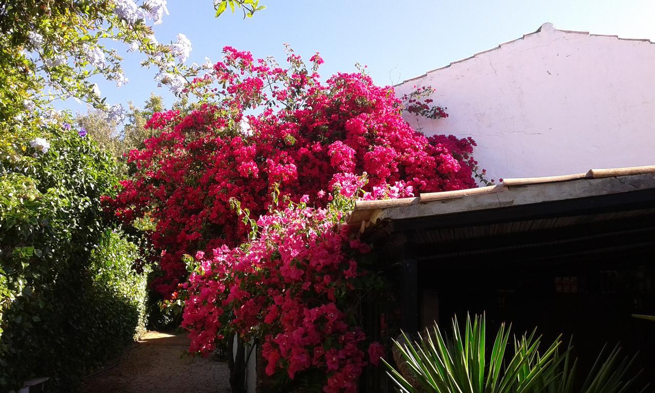 Quinta Das Flores Βίλα Αλμπουφέιρα Εξωτερικό φωτογραφία